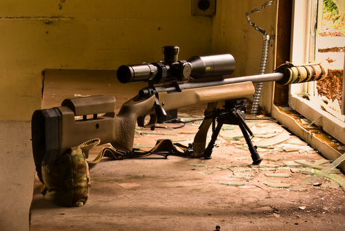 Rifle sitting on a rear bag